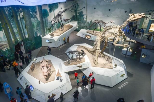 2022必看展览!恐龙来到经十路?还有超梦幻宝石等你探寻!休闲区蓝鸢梦想 - Www.slyday.coM 2022必看展览!恐龙来到经十路?还有超梦幻宝石等你探寻!休闲区蓝鸢梦想 - Www.slyday.coM