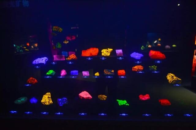 2022必看展览!恐龙来到经十路?还有超梦幻宝石等你探寻!休闲区蓝鸢梦想 - Www.slyday.coM 2022必看展览!恐龙来到经十路?还有超梦幻宝石等你探寻!休闲区蓝鸢梦想 - Www.slyday.coM