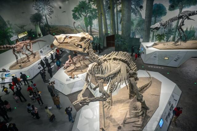 2022必看展览!恐龙来到经十路?还有超梦幻宝石等你探寻!休闲区蓝鸢梦想 - Www.slyday.coM 2022必看展览!恐龙来到经十路?还有超梦幻宝石等你探寻!休闲区蓝鸢梦想 - Www.slyday.coM