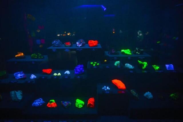 2022必看展览!恐龙来到经十路?还有超梦幻宝石等你探寻!休闲区蓝鸢梦想 - Www.slyday.coM 2022必看展览!恐龙来到经十路?还有超梦幻宝石等你探寻!休闲区蓝鸢梦想 - Www.slyday.coM