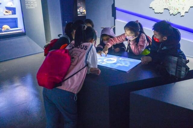 2022必看展览!恐龙来到经十路?还有超梦幻宝石等你探寻!休闲区蓝鸢梦想 - Www.slyday.coM 2022必看展览!恐龙来到经十路?还有超梦幻宝石等你探寻!休闲区蓝鸢梦想 - Www.slyday.coM