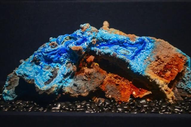 2022必看展览!恐龙来到经十路?还有超梦幻宝石等你探寻!休闲区蓝鸢梦想 - Www.slyday.coM 2022必看展览!恐龙来到经十路?还有超梦幻宝石等你探寻!休闲区蓝鸢梦想 - Www.slyday.coM