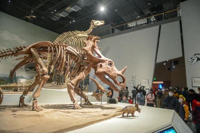 2022必看展览!恐龙来到经十路?还有超梦幻宝石等你探寻!休闲区蓝鸢梦想 - Www.slyday.coM 2022必看展览!恐龙来到经十路?还有超梦幻宝石等你探寻!休闲区蓝鸢梦想 - Www.slyday.coM