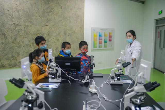 2022必看展览!恐龙来到经十路?还有超梦幻宝石等你探寻!休闲区蓝鸢梦想 - Www.slyday.coM 2022必看展览!恐龙来到经十路?还有超梦幻宝石等你探寻!休闲区蓝鸢梦想 - Www.slyday.coM