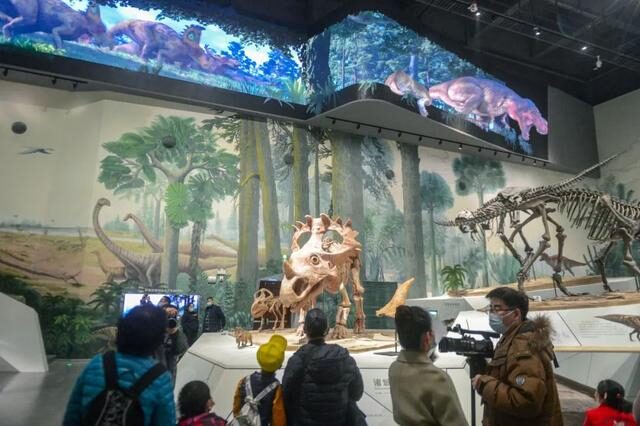 2022必看展览!恐龙来到经十路?还有超梦幻宝石等你探寻!休闲区蓝鸢梦想 - Www.slyday.coM 2022必看展览!恐龙来到经十路?还有超梦幻宝石等你探寻!休闲区蓝鸢梦想 - Www.slyday.coM