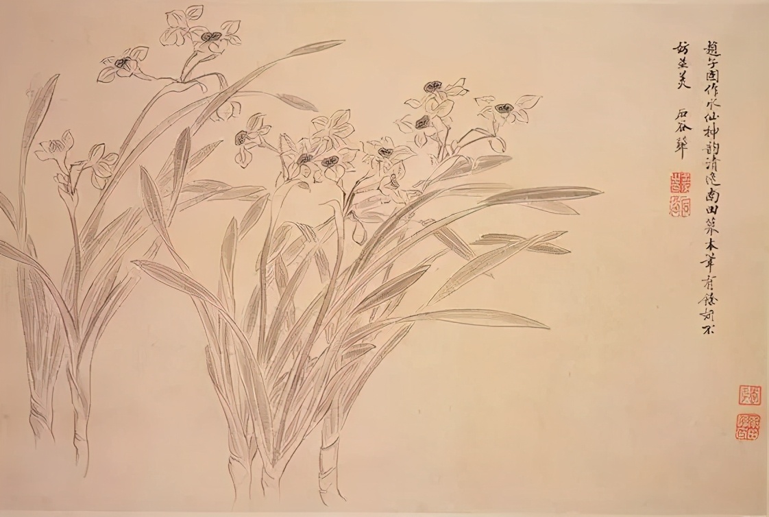 花鸟画技法秘诀，全是精华！