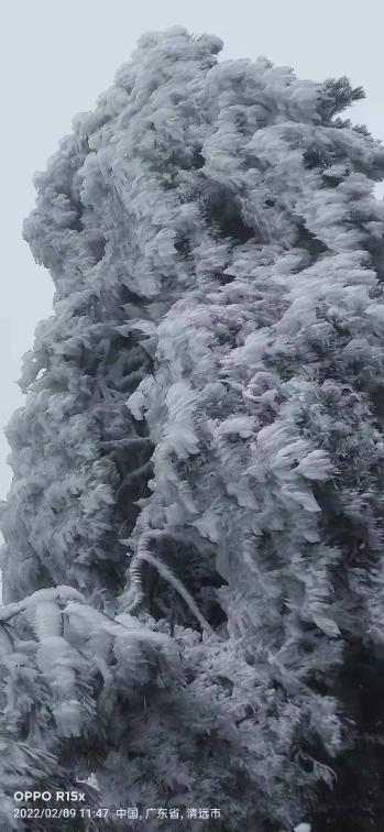 银装素裹!南岭迎来新年第一场雪休闲区蓝鸢梦想 - Www.slyday.coM 银装素裹!南岭迎来新年第一场雪休闲区蓝鸢梦想 - Www.slyday.coM