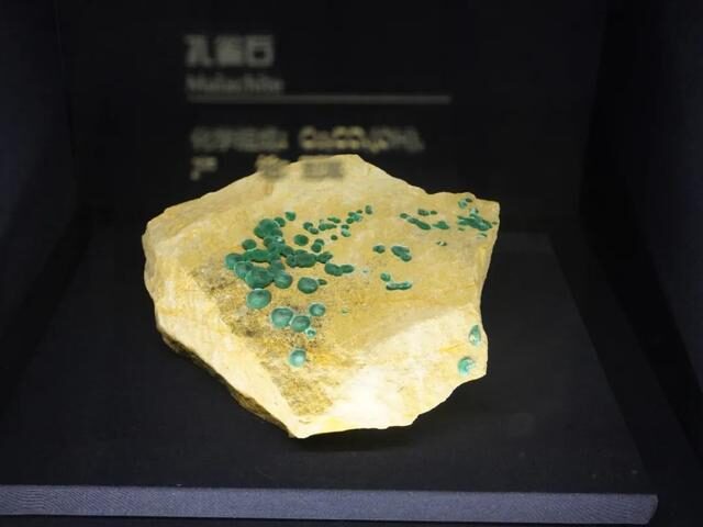 2022必看展览!恐龙来到经十路?还有超梦幻宝石等你探寻!休闲区蓝鸢梦想 - Www.slyday.coM 2022必看展览!恐龙来到经十路?还有超梦幻宝石等你探寻!休闲区蓝鸢梦想 - Www.slyday.coM