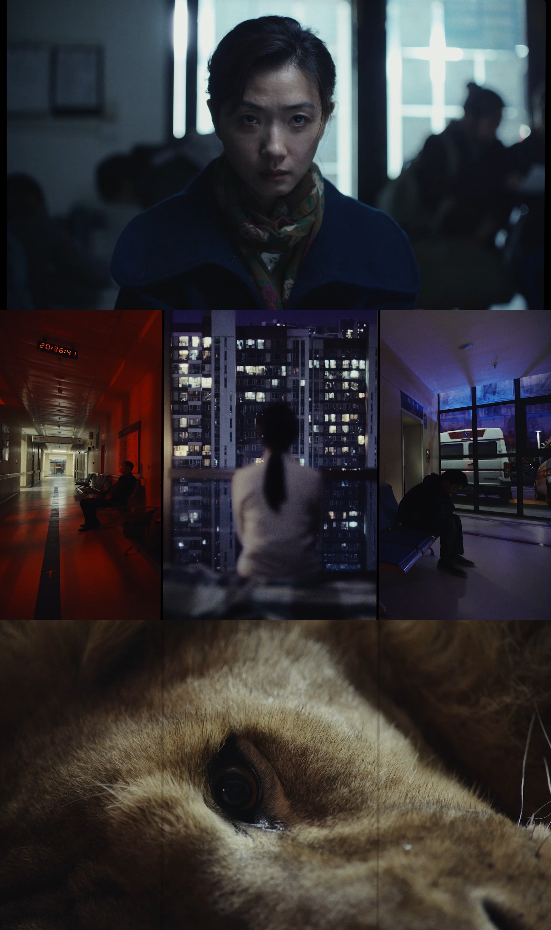 首部全国产设备电影《长夜将尽》展现中国技术实力