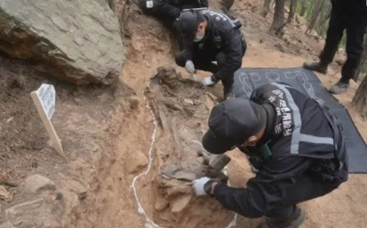 叶落终将归根！参与中国人民志愿军烈士遗骸挖掘，<a href=