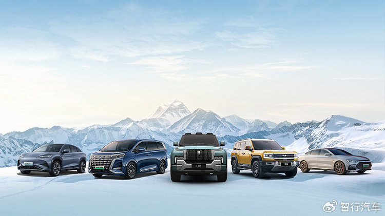 6月国产新能源汽车销量放榜，比亚迪连续4个月夺冠