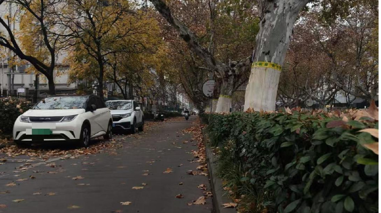 昨天淮河以北和江淮西部陆续出现降雪  今天沿江江南有小雨