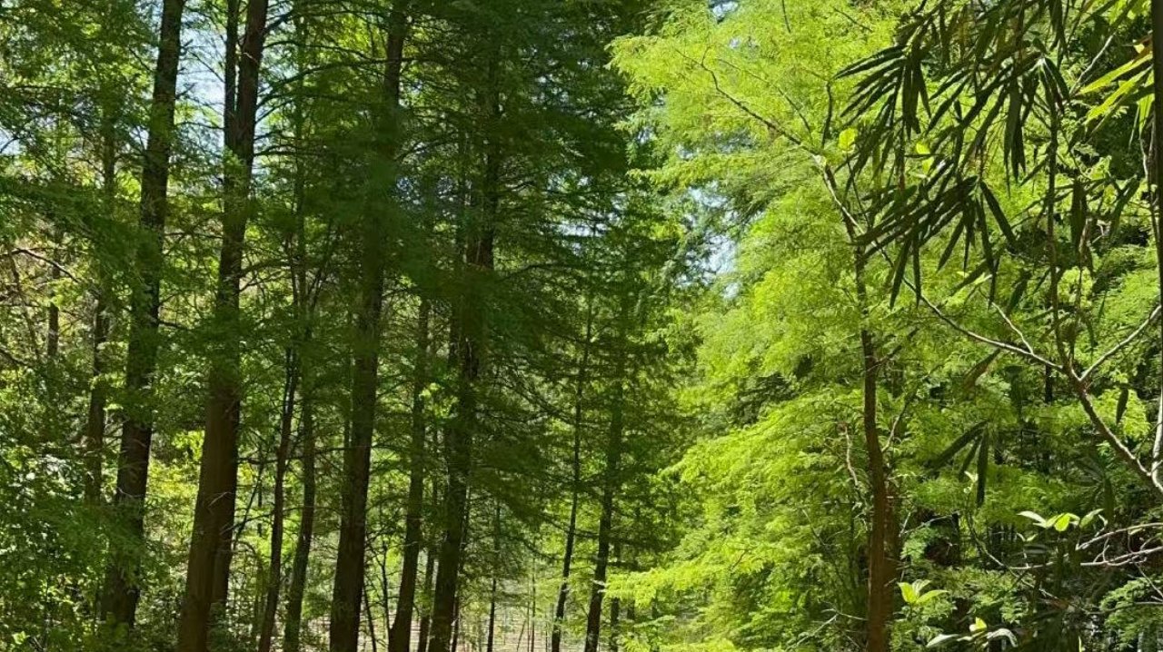 云顶新耀宣布与麦科奥特达成MT1013独家商业化许可协议