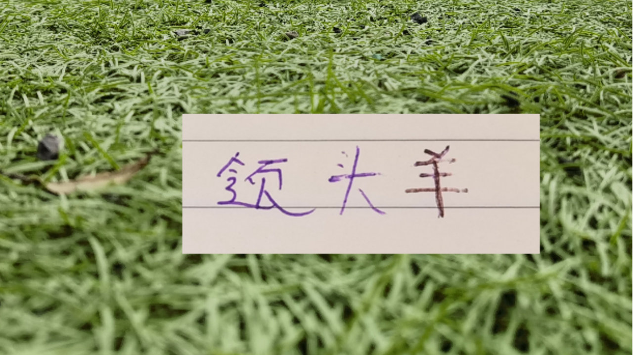 中超第11轮！领头成为进球最多+失球也最少球队