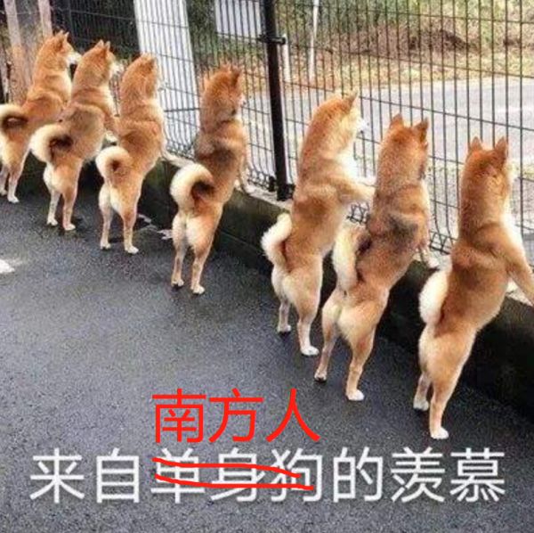 美女博主惊艳网友,她的绝活居然在《甄嬛传》里用来争宠…休闲区蓝鸢梦想 - Www.slyday.coM 美女博主惊艳网友,她的绝活居然在《甄嬛传》里用来争宠…休闲区蓝鸢梦想 - Www.slyday.coM