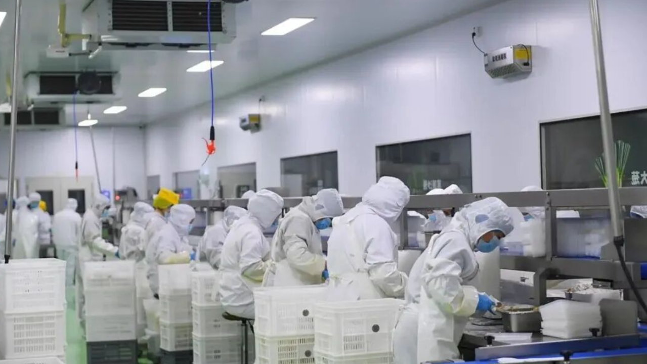 日产18万个烧麦 青城美味香飘天南地北