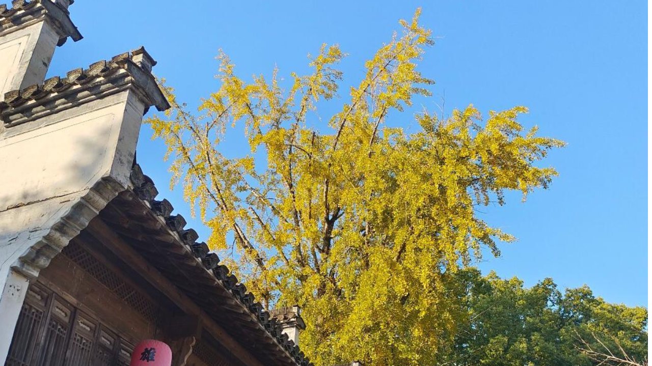 19夜里至21日有较强冷空气影响我省