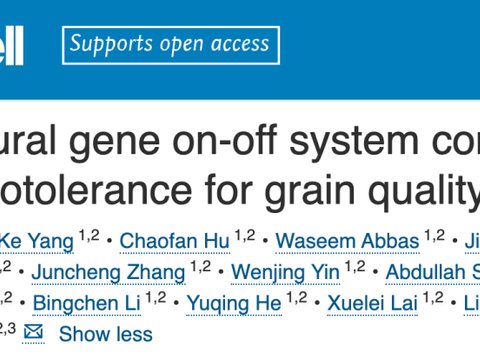 华中农业大学李一博团队Cell论文，入选2025 Science十大科学突破