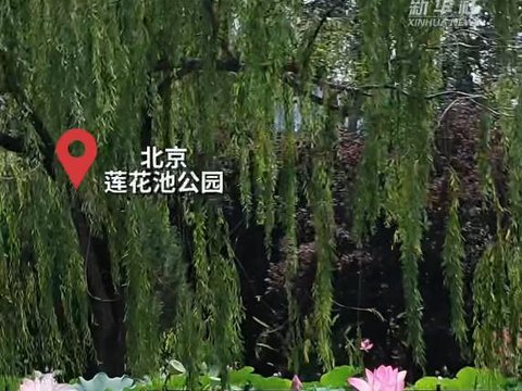 秀我中国丨“北漂”的河南梆子