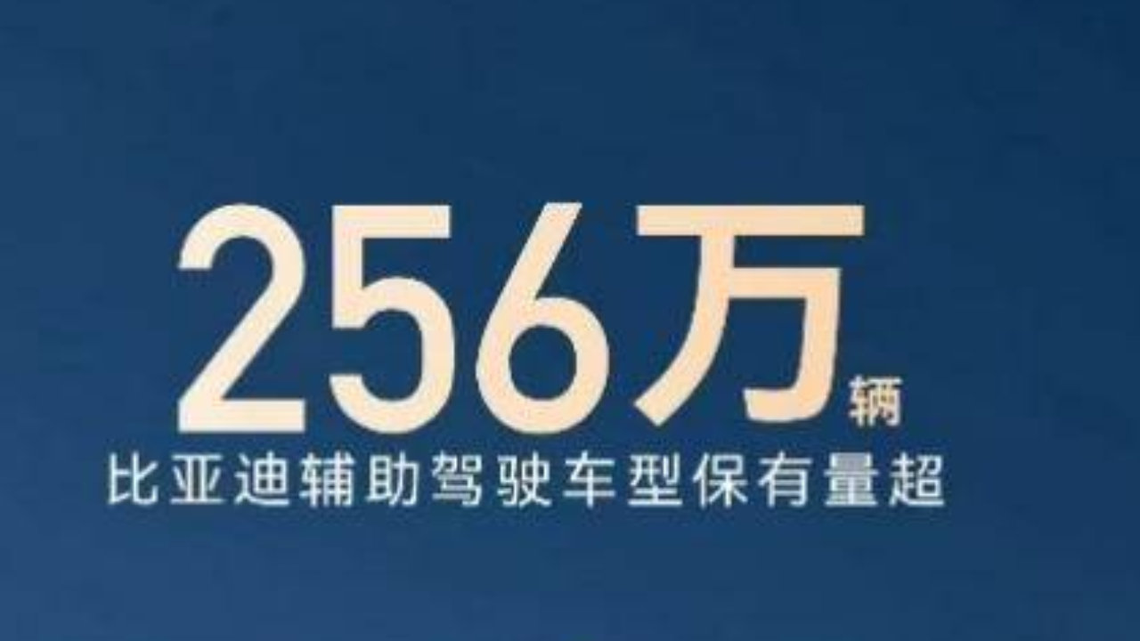 256 万 + 用户共同选择，比亚迪辅助驾驶跑出加速度