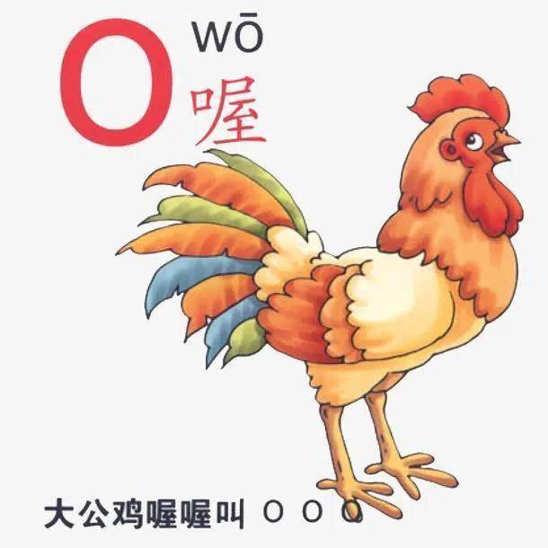 拼音o读欧还是窝可别教错孩子
