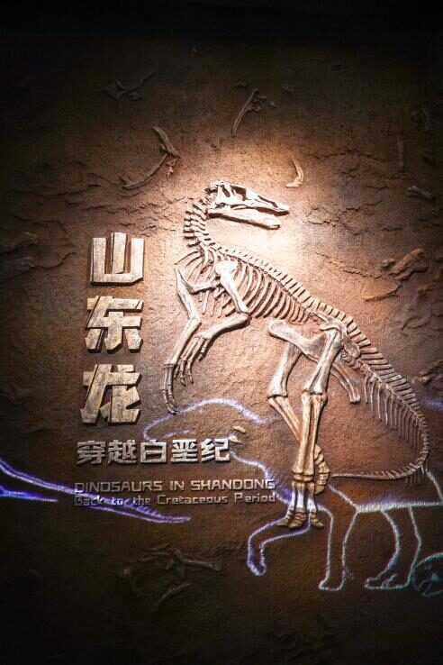 2022必看展览!恐龙来到经十路?还有超梦幻宝石等你探寻!休闲区蓝鸢梦想 - Www.slyday.coM 2022必看展览!恐龙来到经十路?还有超梦幻宝石等你探寻!休闲区蓝鸢梦想 - Www.slyday.coM