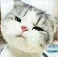 离谱!南海这名司机竟然等了一个半小时红绿灯?休闲区蓝鸢梦想 - Www.slyday.coM 离谱!南海这名司机竟然等了一个半小时红绿灯?休闲区蓝鸢梦想 - Www.slyday.coM