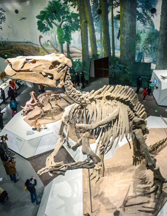 2022必看展览!恐龙来到经十路?还有超梦幻宝石等你探寻!休闲区蓝鸢梦想 - Www.slyday.coM 2022必看展览!恐龙来到经十路?还有超梦幻宝石等你探寻!休闲区蓝鸢梦想 - Www.slyday.coM