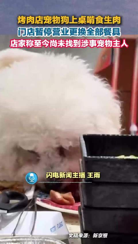 合肥一烤肉店宠物狗上桌啃食生肉 门店暂停营业更换全部餐具