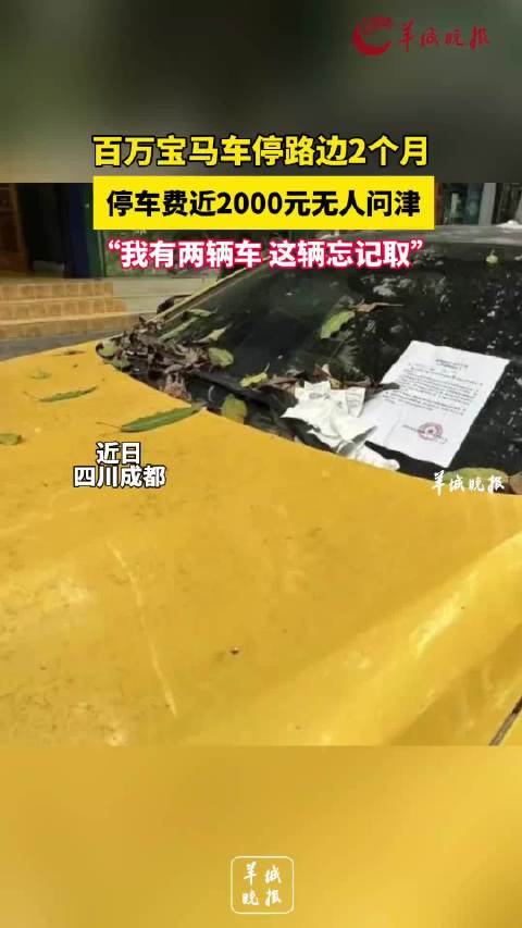 百万宝马车停路边2个月 停车费近2000元无人问津 “我有两 辆车 这辆忘记取”