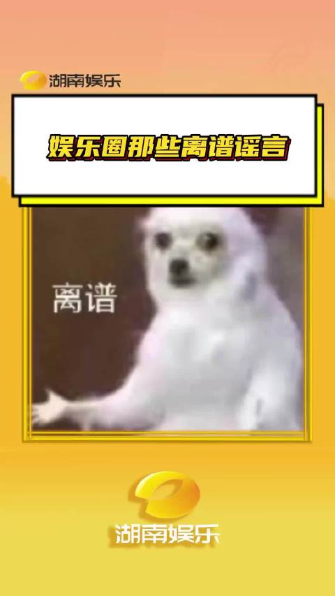有些谣言真的是离谱到会让人气笑来