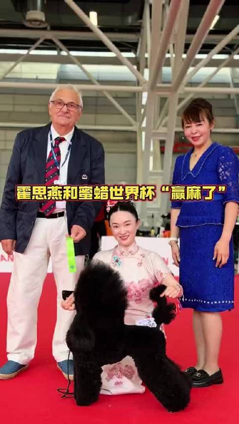 霍思燕携爱犬霍蜜蜡亮相大利犬展首日获赏励