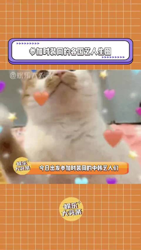 今日出发参加时装周的中韩艺人生图