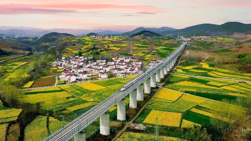2024陕西最美油菜花海汉中旅游文化节3月15日启幕|汉中|油菜花海|汉中市_新浪新闻