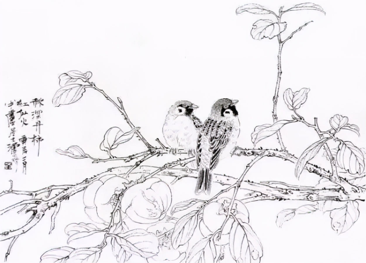 花鸟画技法秘诀，全是精华！