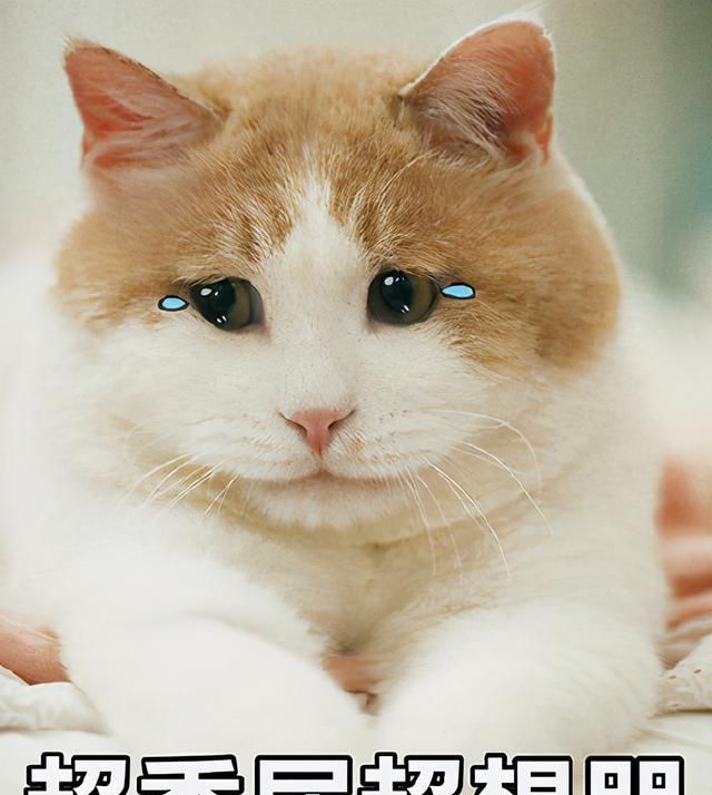 搬砖职业排行2017_dnf2017最适合搬砖的职业是什么:第一名风神(2)