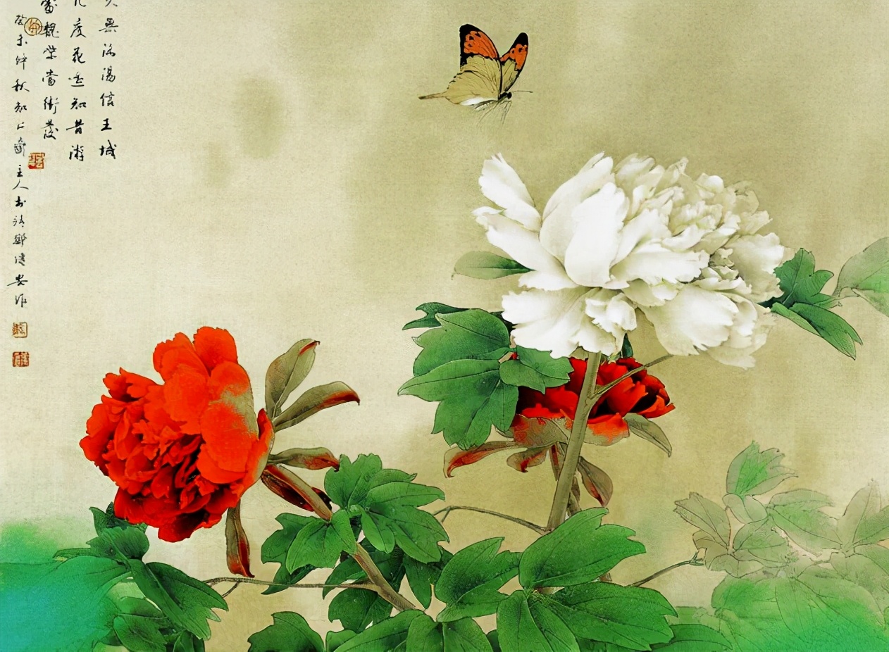 花鸟画技法秘诀，全是精华！