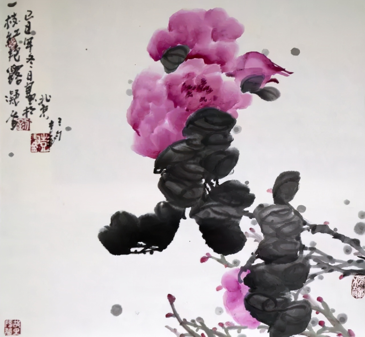 花鸟画技法秘诀，全是精华！