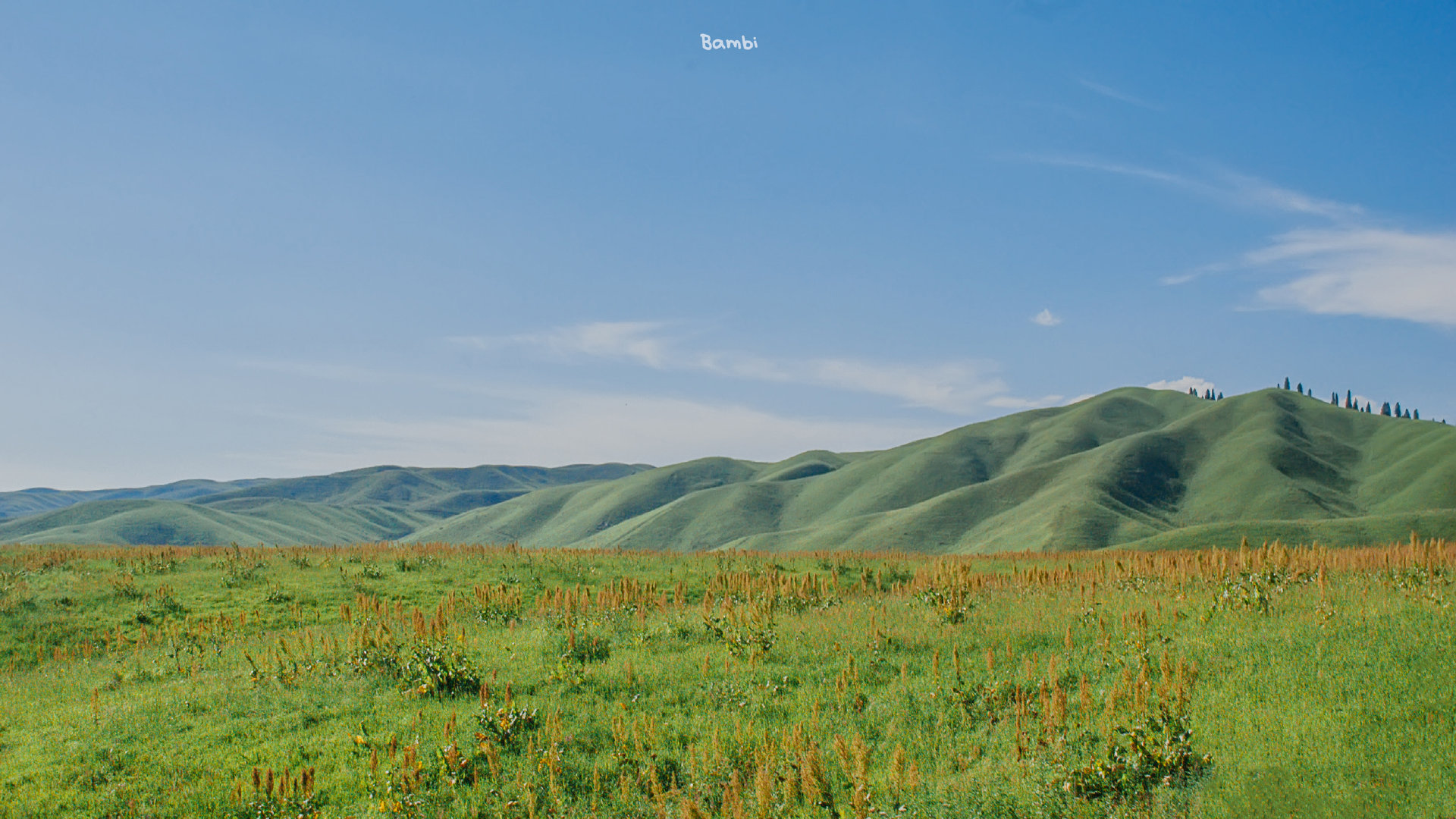 悼心什么图成语_成语故事图片