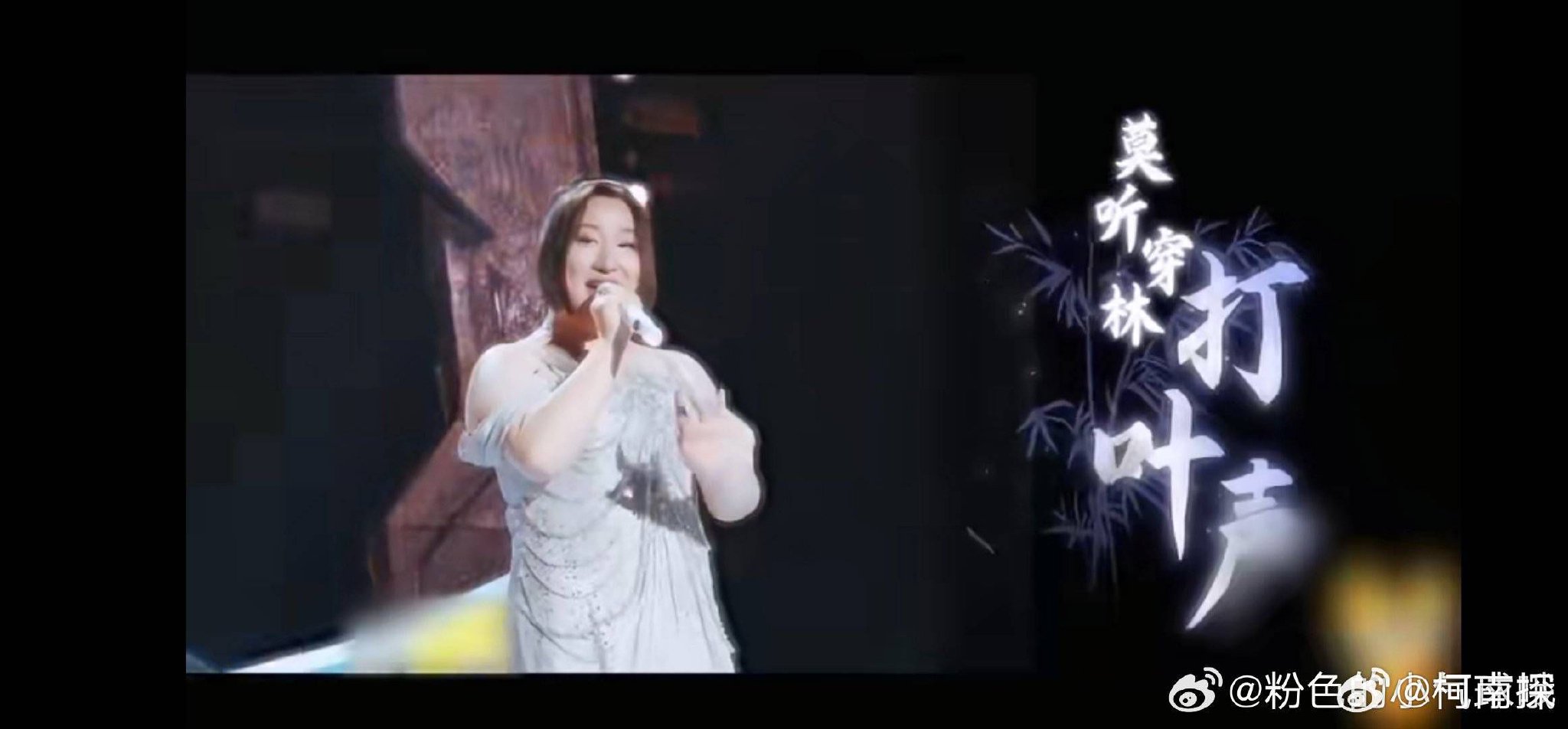 锤娜丽莎多领域表现亮眼获赞