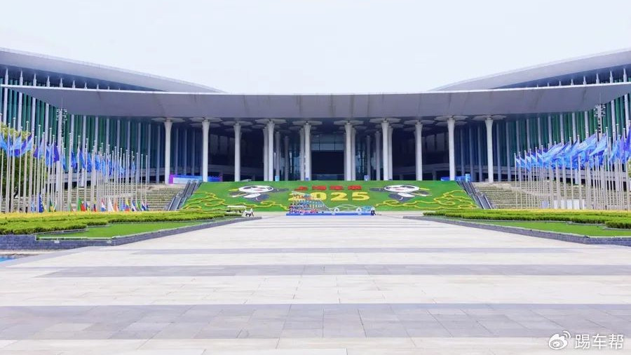 谁是上海车展最大赢家？