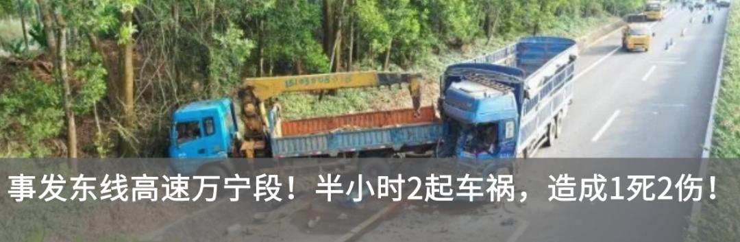 事发海口!男子驾车撞断护栏,被查时还在呼呼大睡……休闲区蓝鸢梦想 - Www.slyday.coM 事发海口!男子驾车撞断护栏,被查时还在呼呼大睡……休闲区蓝鸢梦想 - Www.slyday.coM