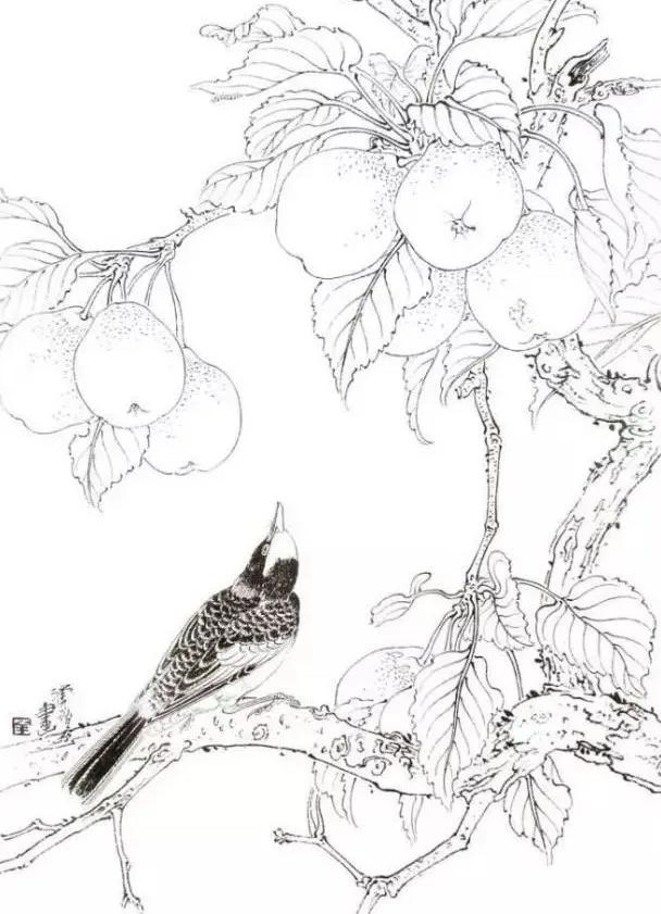 花鸟画技法秘诀，全是精华！