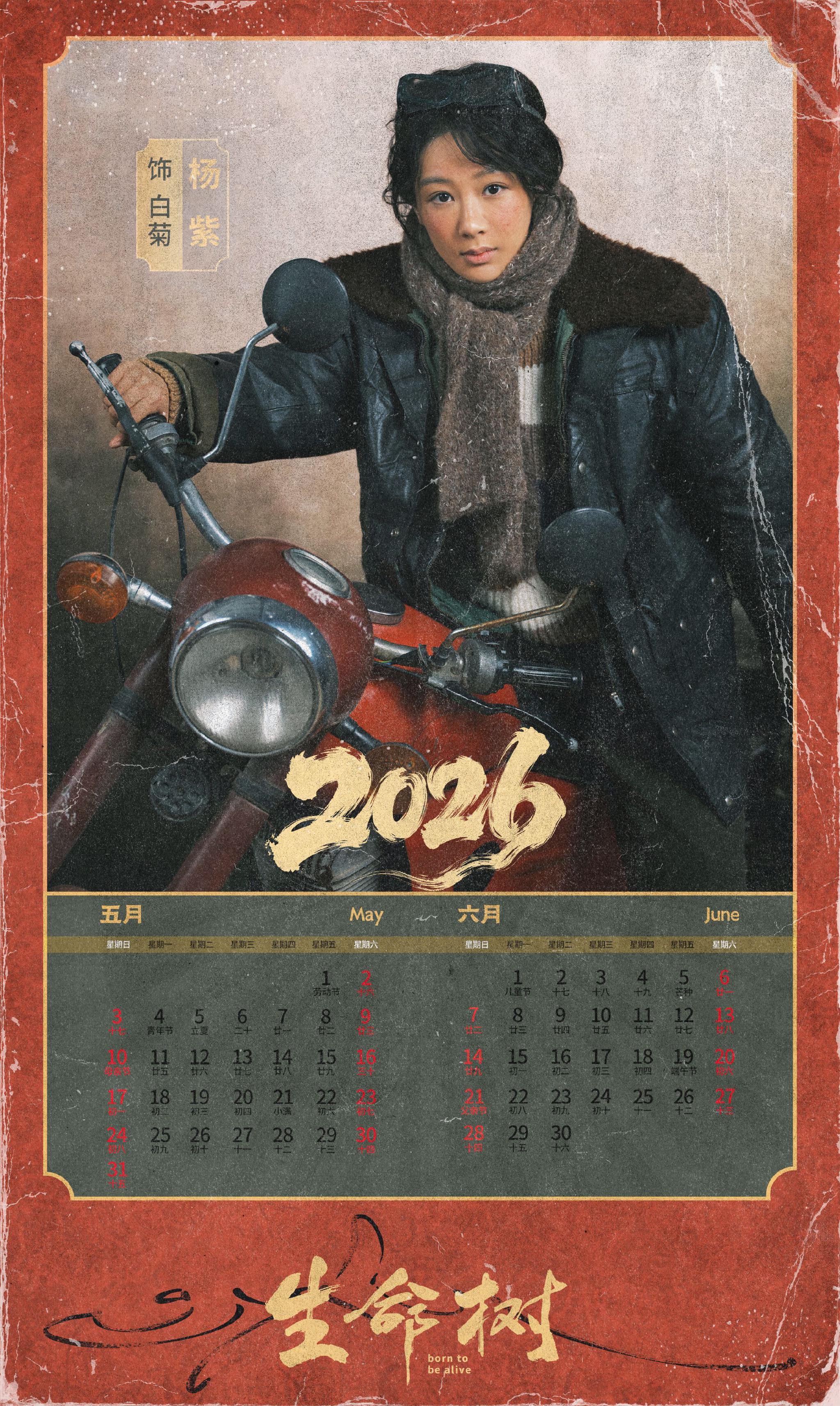 杨紫发布丙午年历，白菊主题迎新春
