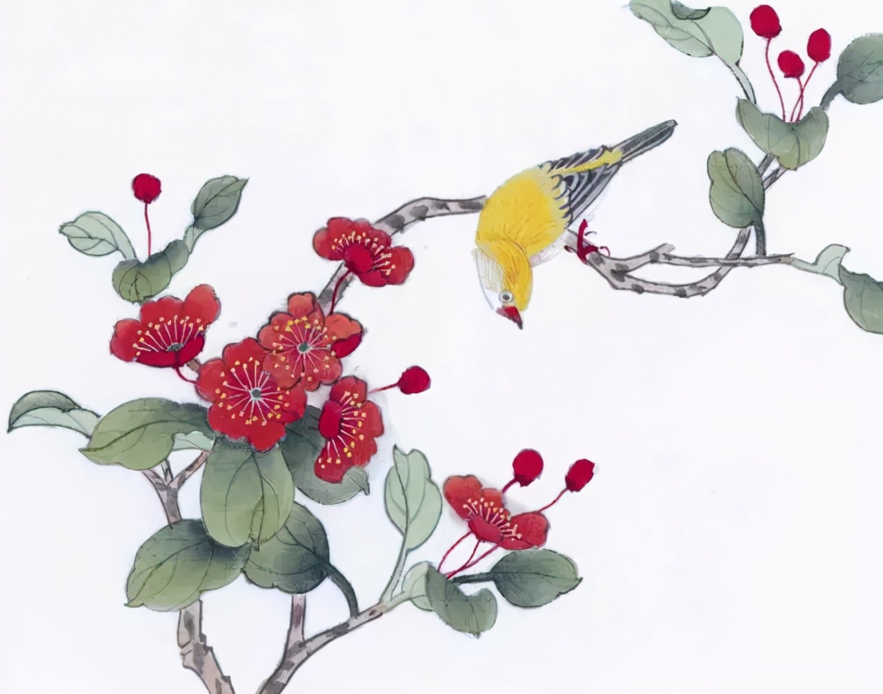 花鸟画技法秘诀，全是精华！