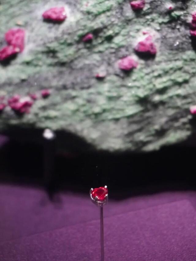 2022必看展览!恐龙来到经十路?还有超梦幻宝石等你探寻!休闲区蓝鸢梦想 - Www.slyday.coM 2022必看展览!恐龙来到经十路?还有超梦幻宝石等你探寻!休闲区蓝鸢梦想 - Www.slyday.coM