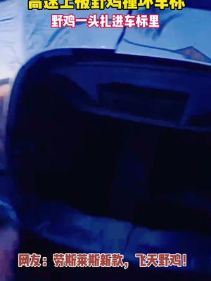 劳斯莱斯新款，飞天野鸡！