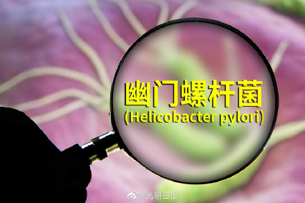 幽门螺杆菌被列为明确致癌物 查出幽门螺杆菌感染怎么办休闲区蓝鸢梦想 - Www.slyday.coM 幽门螺杆菌被列为明确致癌物 查出幽门螺杆菌感染怎么办休闲区蓝鸢梦想 - Www.slyday.coM