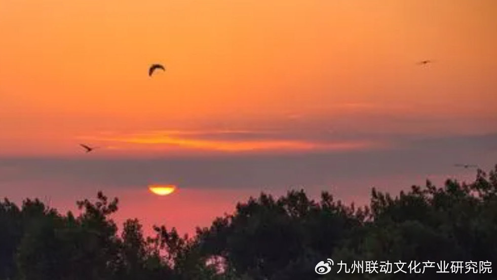 下一个《哪吒2》，电影《功夫熊猫》IP强势回归！