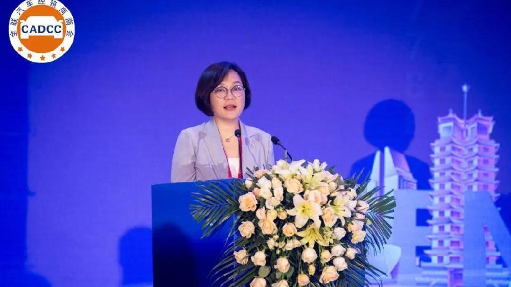 刘英姿：新能源汽车经销商60%亏损